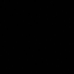 Meet your Posher, Luz